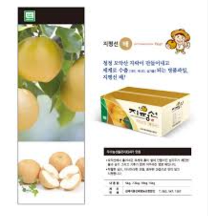 FRUIT l Korean Pear JiPyeongSeon (grown in Korea)