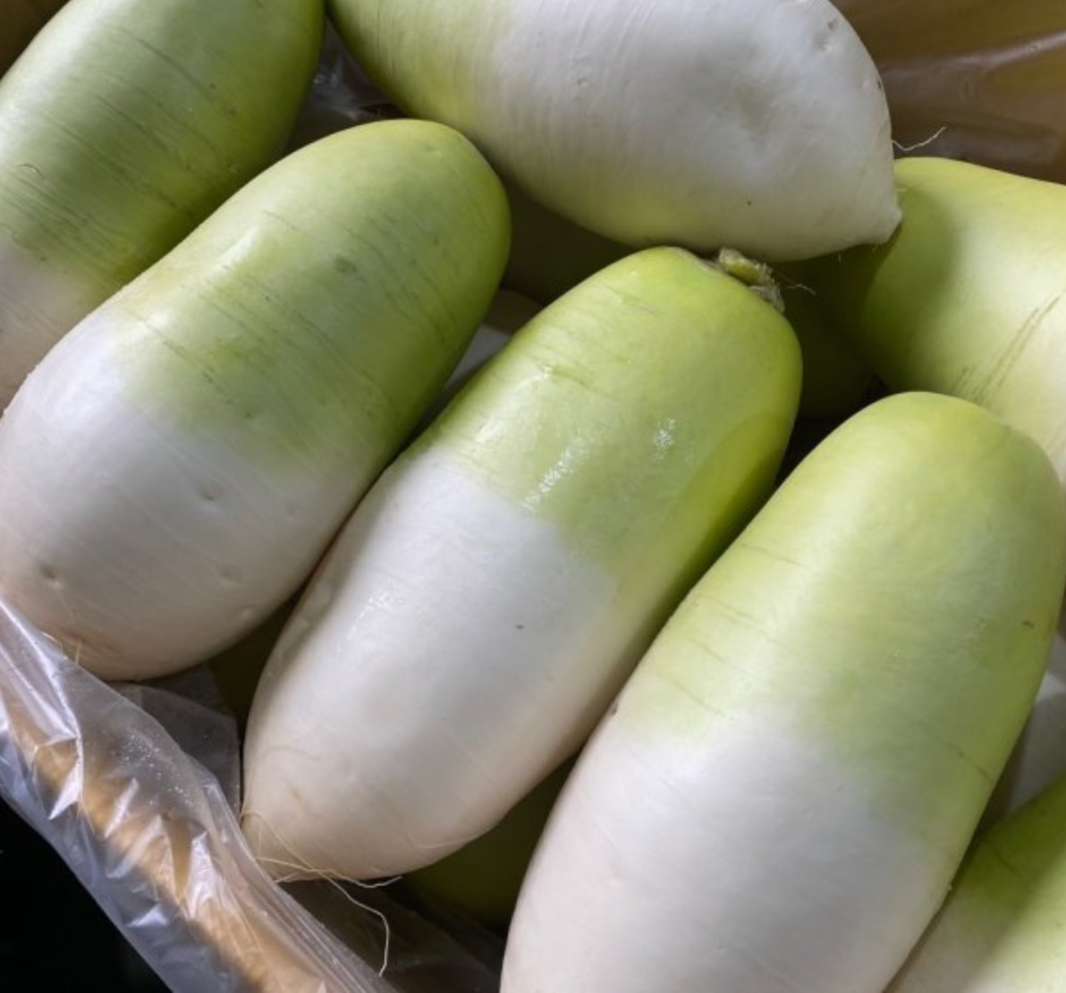 VEGETABLE l JEJU Woldong-Radish