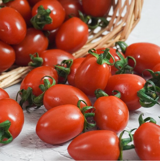 VEGETABLE l Stevia Tomato/ Sweet Cherry Tomato 300g