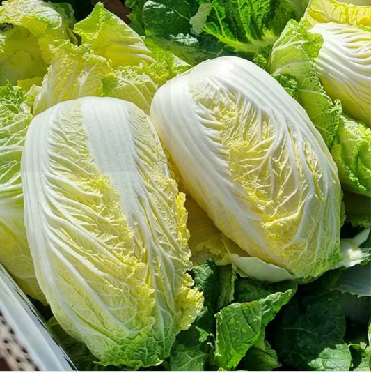 VEGETABLE ㅣ Highland Danyang Baechu (Cabbage)